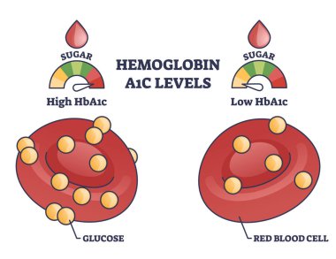 Hemoglobin A1C test seviyeleri kırmızı kan hücresi ve glikoz anahat diyagramı. Diyabet veya prediyabet kontrol ilkeleri ve düşük veya yüksek sonuç vektör illüstrasyonuna sahip etiketli eğitim şeması