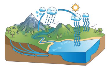 Su döngüsü diyagramı, yağış ve yoğunlaşma ana hatlarıyla. Doğa süreci açıklaması ve iklim ekosistem vektör illüstrasyonuyla eğitim şeması. Yeryüzündeki su dengesini incele.