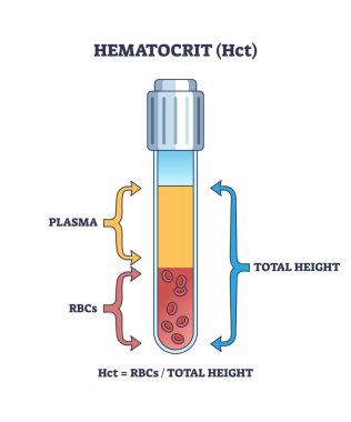 Alyuvarlar örnek test çizelgesinde hematokrit ya da HCT olarak sayılır. Plazma, toplam yükseklik ve RBC bileşenleri yüzdelik vektör çizimi ile etiketlenmiş eğitim şeması. Laboratuvar teşhisi