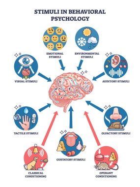 Stimuli in behavioral psychology with brain feeling causes outline diagram. Labeled scheme with tactile, auditory or olfactory senses vector illustration. Classical and operant conditioning examples. clipart