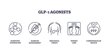 GLP-1 agonistleri tip 2 diyabet ikon koleksiyonunu tedavi etmek için ilaç olarak kullanılıyor. Bilimsel uyuşturucu vakfı, hastalık yönetimi, kilo kaybı ve kardiyo sağlık vektörü illüstrasyonuna sahip etiketlenmiş elementler.