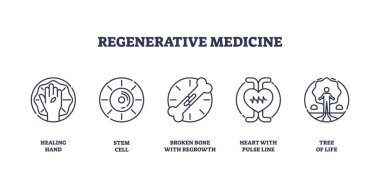 Yenilenme tıp ikonları iyileştirici elleri, kök hücreleri ve nabız çizgisi olan kalbi tasvir eder. Taslak simgeleri ayarlandı.