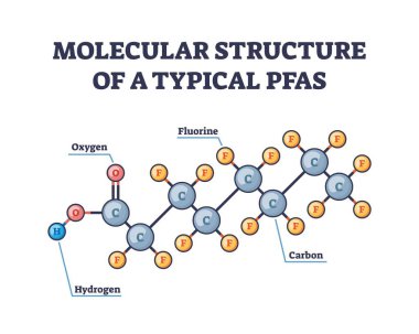 PFAS molecular structure shows carbon-fluorine bonds, illustrating chemical stability. Outline diagram. clipart