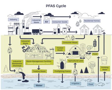 PFAS döngüsü endüstriden çevreye kirlenme akışını, endüstriyel atık, su ve gıdanın altını çizerek göstermektedir. Doodle biçim diyagramı