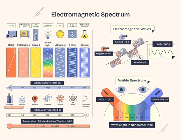 Elektromanyetik spektrum diyagramı dalgaları, frekansı ve görünür ışık spektrumunu gösteriyor. Neugaddarlık biçimi diyagramı.
