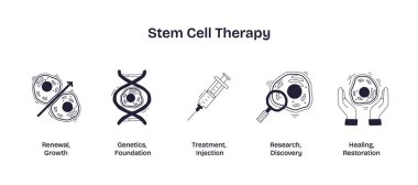 Kök hücre terapisi, büyüme, genetik, tedavi, araştırma ve iyileştirmeyi temsil eden hücreler, DNA, şırınga, büyüteç ve ellerin karalama ikonları ile gösterilir. Doodle biçim simgeleri