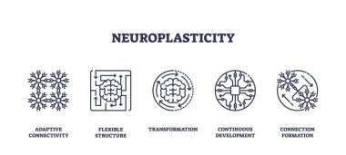 Nöroplastisite, beyin, sinirsel ağlar ve adaptif bağlantı ve dönüşümü temsil eden devre simgeleriyle gösterilir. Taslak simgeleri ayarlandı