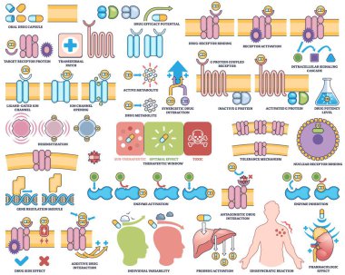 Uyuşturucu eylem farmakodinamiği ilaç reseptör etkileşimlerini, sinyal yollarını ve hücre etkilerini bir taslak tarz koleksiyonunda görselleştirir. Taslak biçim koleksiyonu