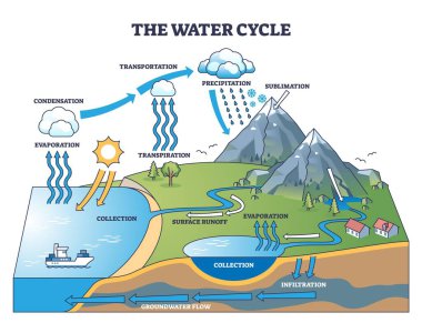 Su döngüsü, bulutları, suyu ve dağları kullanarak buharlaşma, yoğunlaşma ve yağış gösteriyor. Özet diyagramı