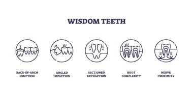 Yirmilik diş simgeleri diş, ok ve çene kemiği içeren farklı çıkarma senaryoları gösteriyor. Diş sorunlarını gösteriyor. Taslak simgeleri ayarlandı