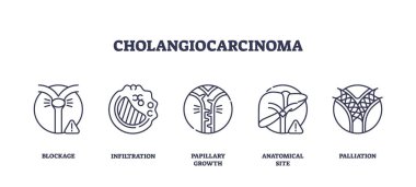 Cholangiocarcinoma, safra kanalı tıkanıklığı, sızma, papiller büyüme, anatomik alan ve palliasyon ikonları ile gösterilir. Taslak simgeleri ayarlandı