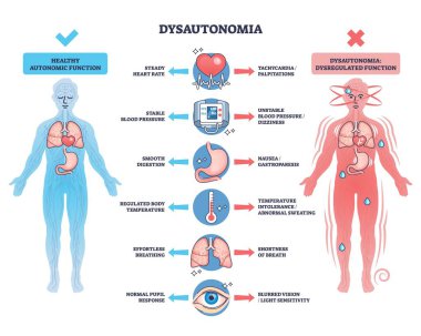 Dissautonomi genel değerlendirmesi insan figürleri, organlar ve semptom simgeleriyle özerk fonksiyon farklılıklarını gösteriyor. Özet diyagramı