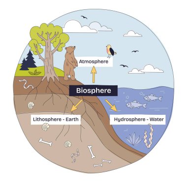 Dünya biyosferinin kısa diyagramı yaşamın atmosfer, hidrosfer ve lithosfer, ağaç, ayı ve balıklar arasında etkileşime girdiğini gösteriyor. Doodle biçim diyagramı