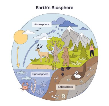 Dünya 'nın biyosfer konsepti atmosferi, hidrosferi ve litrosferi birbirine bağlar. Güneş döngüleri, ağaçları ve vahşi yaşamı doğal ortamları, anahtar nesneleri, güneşi, ağacı, ayıyı gösterir. Doodle biçim diyagramı
