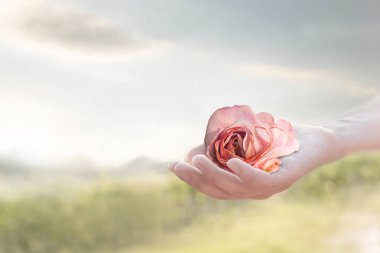 gentle gesture of a hand giving a rose, abstract concept