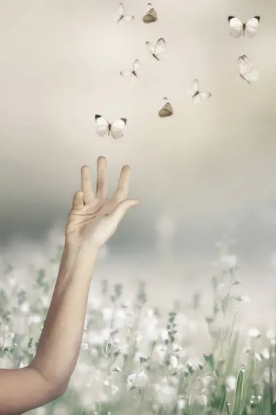 Surreale Begegnung Zwischen Weißen Schmetterlingen Und Der Hand Einer Frau Stockbild