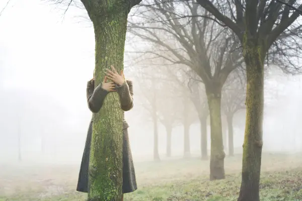 Dłonie Dotykają Pnia Drzewa Obejmując Gaju Otoczonym Mgłą Obraz Stockowy