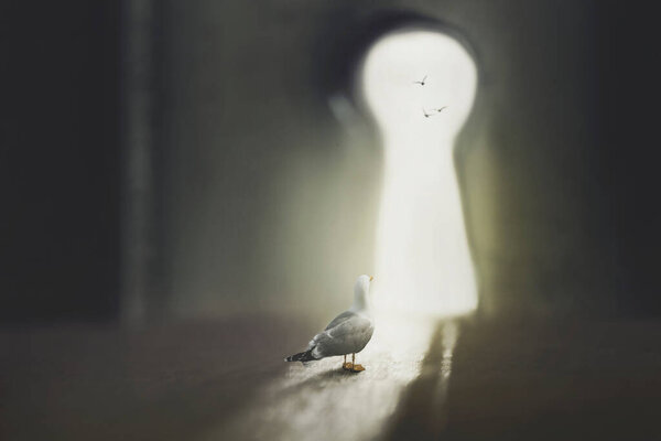 Чайка наблюдает за заключенным из замка других птиц, летающих в небе, концепция свободы и мужества