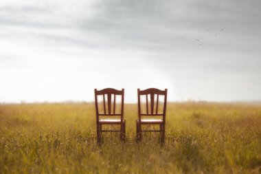 Çayırın ortasında terk edilmiş iki sandalye. Bekleme ve bir çiftin aşkı.