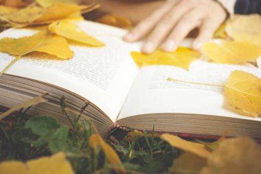 Bir sonbahar günü yapraklarla dolu bir çayırda kitap okuyan biri.