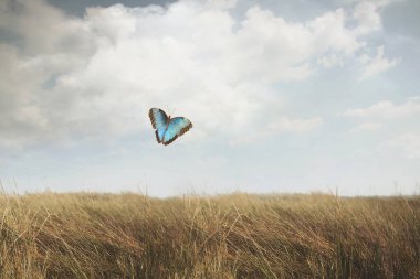 blue butterfly flying free over a meadow clipart