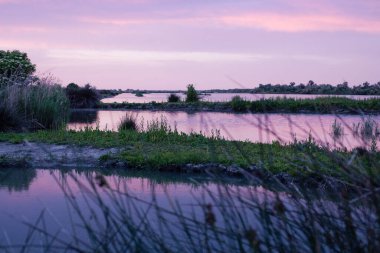 Po Delta 'da gün batımında su ve sazlıklar yansıyor.