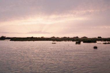 Po Delta 'nın doğal manzarası gün batımının altın ışıklarıyla aydınlanır.