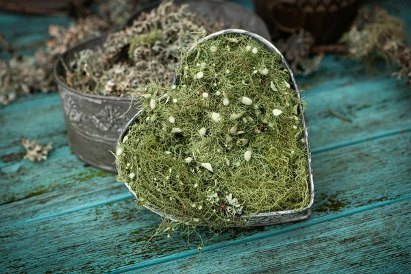 Metal Heart Fresh Lichen Wooden Background — Stock Photo, Image