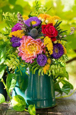 Yıldız çiçekli sonbahar çiçeği.