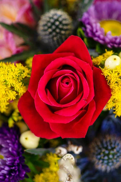 Merah Mawar Dengan Warna Warni Bunga Lainnya — Stok Foto