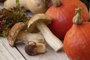 Ahşap arka plan üzerinde sonbahar meyve