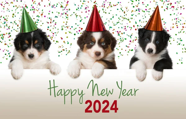 Felice Anno Nuovo Cani Guarda Oltre Muro — Foto Stock