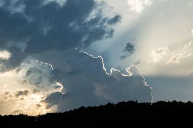 Bir orman üzerinde gök gürültülü bulutlar