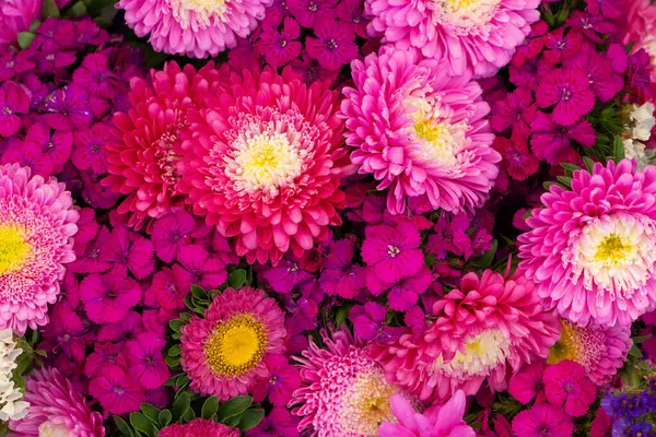 Ovanifrån Färgglada Blommor — Stockfoto