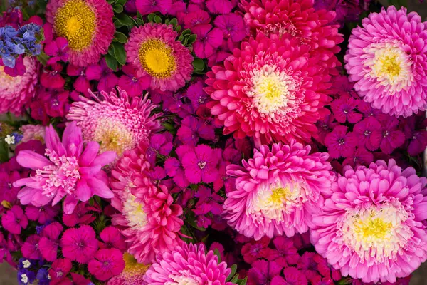 Blick Von Oben Auf Bunte Blumen Stockfoto