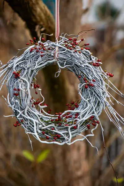 Wreath Made Birch Twigs Rose Hips Stock Picture