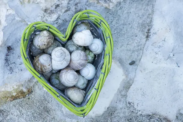 Conchas Caracol Vacías Una Canasta Forma Corazón Sobre Fondo Piedra Fotos De Stock