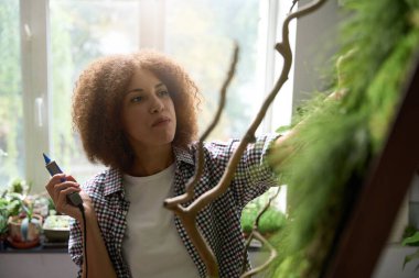 Dişi, yosunların doğal dekorasyonunu yapmak için tutkal tabancası ve müşterilere satmak için yapraklar kullanıyor.
