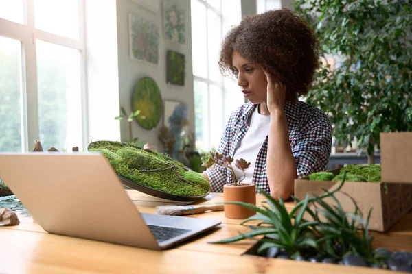 Młoda Kobieta Używa Laptopa Własnym Zielonym Sklepie Trzyma Garnek Dekoracyjnym — Zdjęcie stockowe