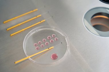 Pink drops of biomaterial on a special glass and straws for embryos are on the laboratory table