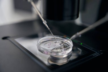 Working with biomaterial using a micromanipulator in a specialized laboratory, this is a modern biotechnology of fertilization