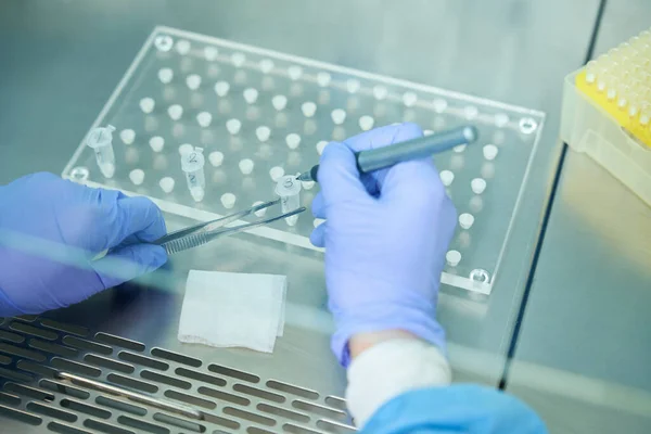 Virologist Laboratory Assistant Labels Test Tubes Virus Samples Has Tweezers — Stockfoto