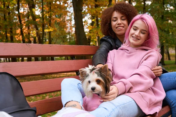 微笑的女人和她快乐的女伴坐在公园的木制长椅上爱抚约克郡泰瑞埃 — 图库照片