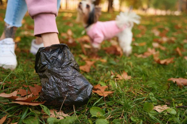 Cropped Photo Person Picking Dog Feces Black Garbage Bag Green — Stock Photo, Image
