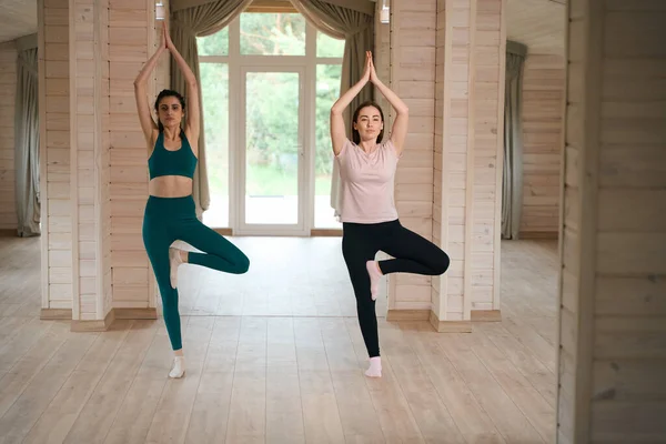 年轻的女性朋友参加体育运动 在房间里做瑜伽运动 — 图库照片