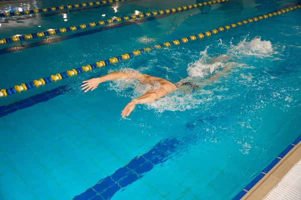 大人の男性はスポーツ水泳に従事しており 選手はプールでのトレーニングに従事しています — ストック写真