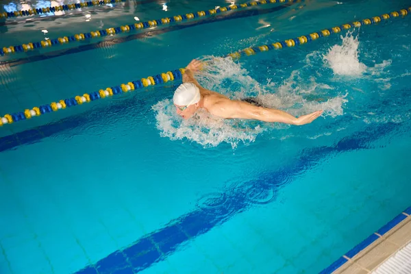 运动员是从事体育游泳的 成年人是在游泳池里训练的 — 图库照片