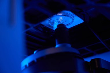 Mikroskop altında mikronedle kullanılarak yumurta sitoplazmasına sperm enjekte ediliyor.