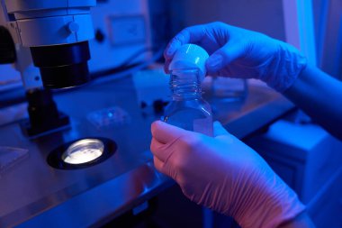 Embriyo medya damlacıkları ve mikroskop ile Petri kabının önünde eldivenli eldiven kapağını söken eldiven.