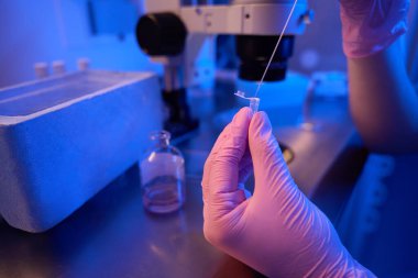 Steril eldivenlerle ellerin kapanması soğutucu kutusunun yanındaki enjeksiyon pipetini kullanarak kriyotüpü embriyolarla doldurması.